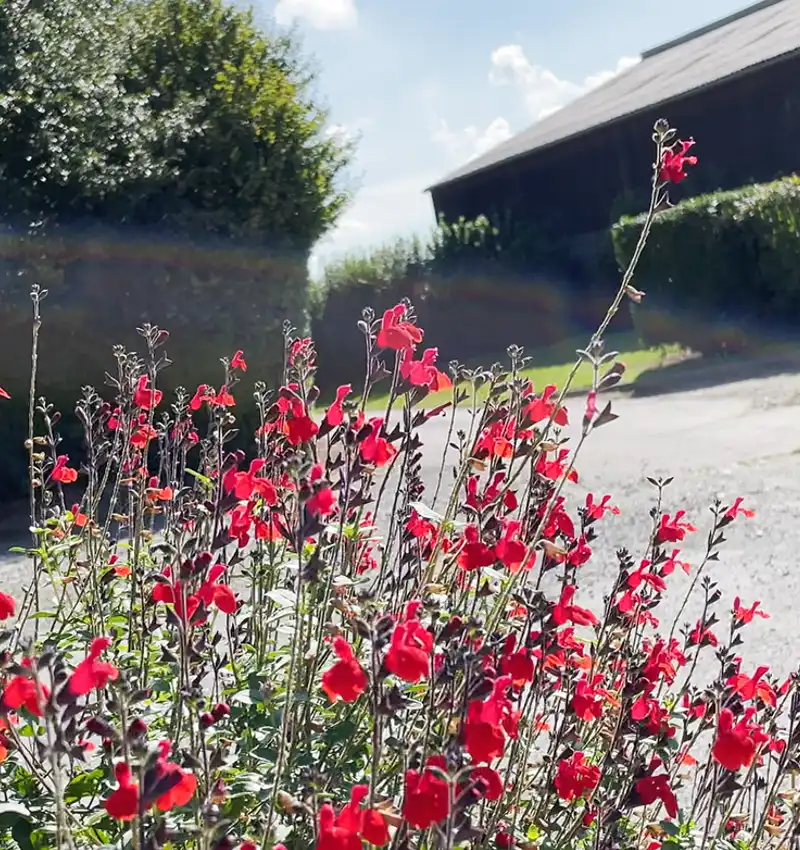 Gites Noyal sur Vilaine - Découvrez La Menerie - Des locations chaleureuses proche de Rennes, dans un cadre verdoyant